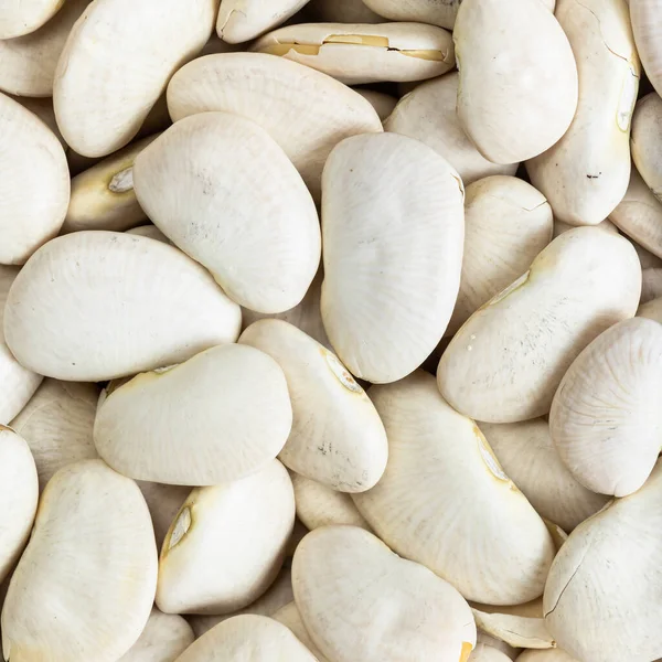 Square Food Background Raw Lima Beans Close — Stock Photo, Image