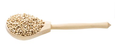 Beyaz arka planda izole edilmiş tahta kaşıkta işlenmemiş Sorghum taneleri