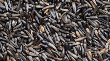 panoramic food background - ripe whole-grain niger seeds (Guizotia Abyssinica) close up clipart