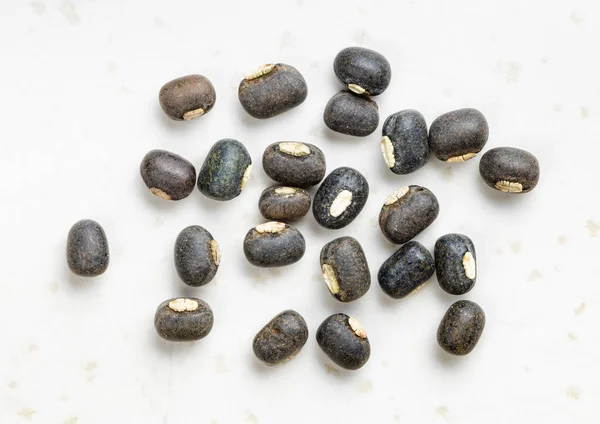 几个生的 全黑的红豆豆紧密地粘在灰色的瓷盘上 — 图库照片