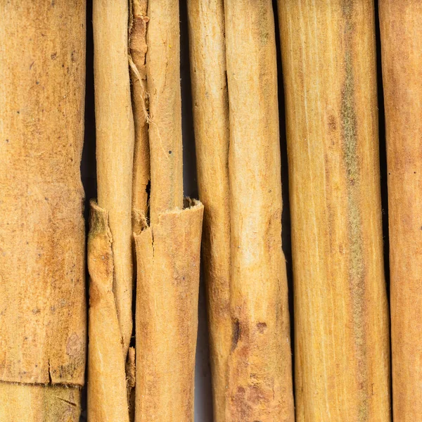 Square Food Background Several Sticks Alba Premium Ceylon Cinnamon Close — Stock Photo, Image