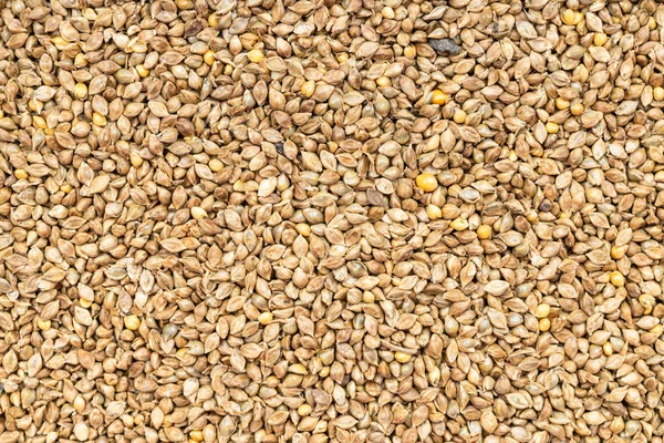 Продовольственный Фон Крупным Планом Зерновых Семян — стоковое фото