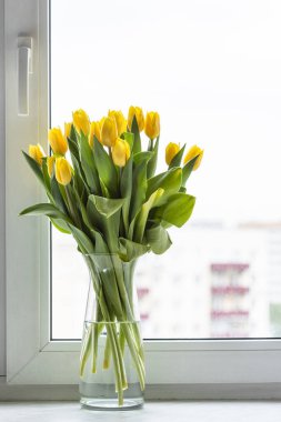 fresh yellow tulip flowers in glass vase on window sill at home with cityscape on background