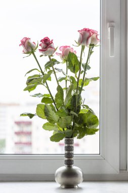 white pink roses in pewter jug on window sill at home with cityscape on background