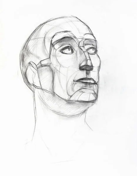 academic drawing - sketch of plaster cast of Niccolo da Uzzano head hand-drawn by graphite pencil on white paper