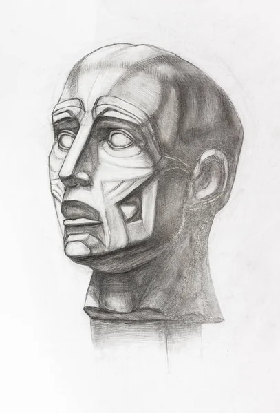Academic Drawing Study Plaster Cast Anatomical Ecorche Head Hand Drawn — Stok fotoğraf