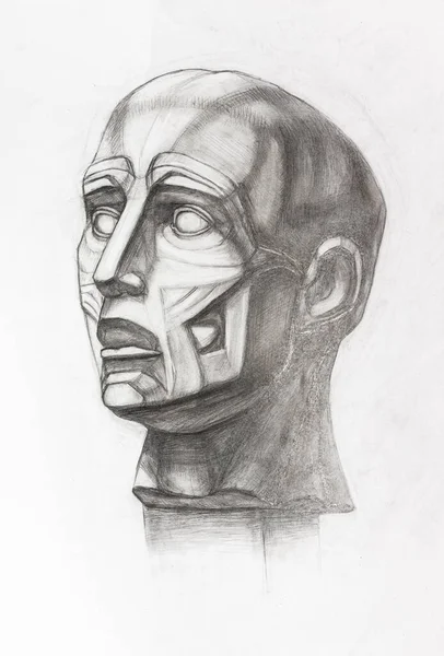 academic drawing - study of plaster cast of anatomical ecorche head hand-drawn by graphite pencil on white paper