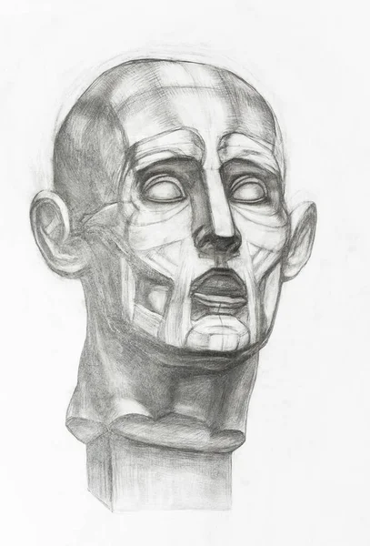 Academic Drawing Sketch Gypsum Anatomical Ecorche Head Hand Drawn Graphite — Stok fotoğraf