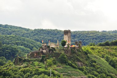 Yeşil tepe üzerinde Metternich Kalesi (burg beilstein)