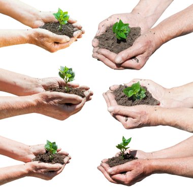 set of farmer hands with soil and green sprout clipart