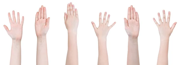 Set of female hands with five fingers gesture — Stock Photo, Image