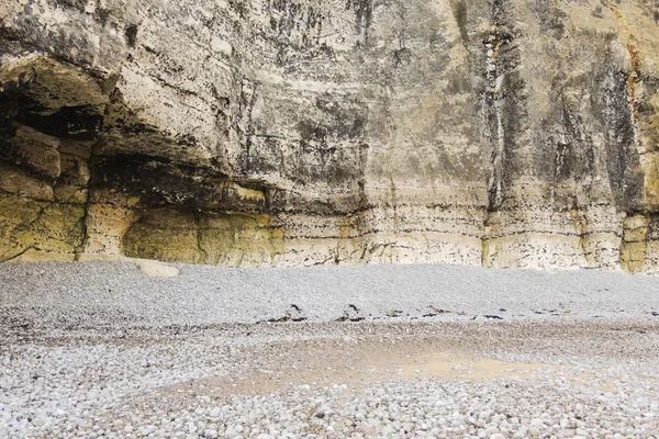 Muro del acantilado de cerca en la playa canal Inglés — Foto de Stock