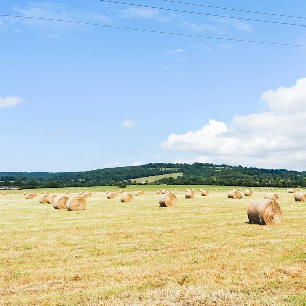 Harvested field with haystack rolls in Normandy — Stock Photo, Image