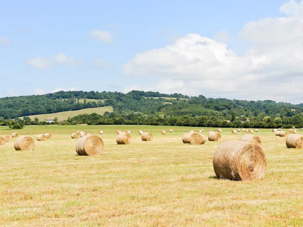 Campo raccolto con pagliai in Normandia — Foto Stock