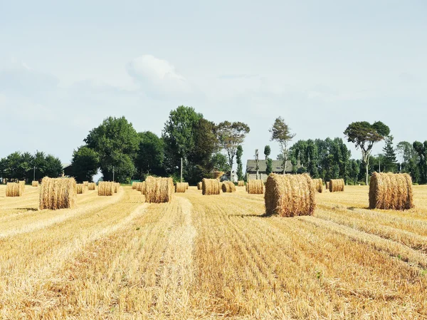 Paesaggio con pagliaio rotoli su campo raccolto — Foto Stock