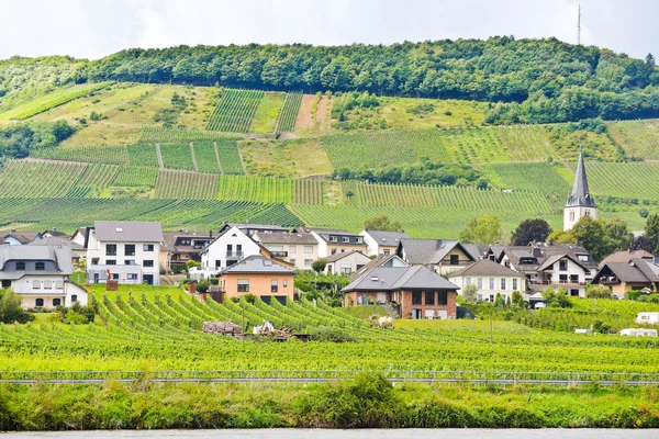 Vineyards on hills and Ellenz Poltersdorf village — Stock Photo, Image