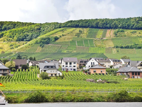 Деревня Элленц Полтерсдорф и виноградник на Мозель — стоковое фото
