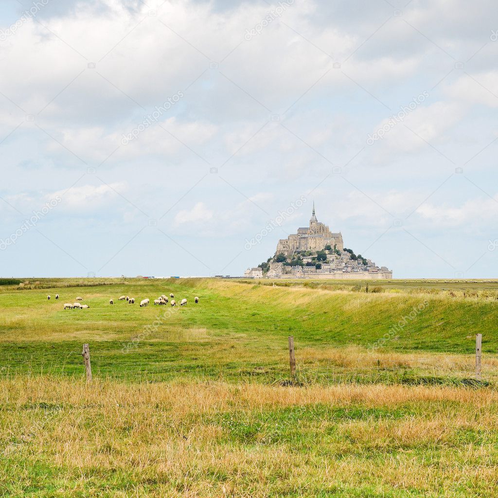 View with sheep and mont saint-michel abbey
