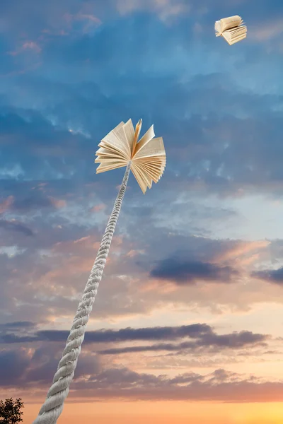 Livres volants et attachés dans le ciel couchant — Photo