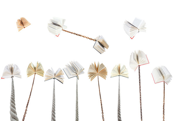 комплект книги, привязанный к веревкам и цепям
