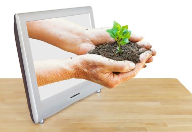 handful of soil with plant leads out TV screen clipart