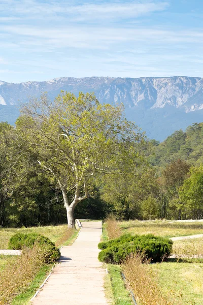 Garden of massandra palace in Crimea — Stock Photo, Image