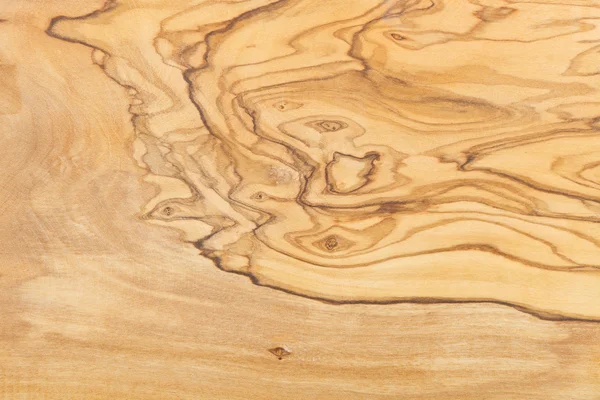 Model natural al plăcii de măsline — Fotografie, imagine de stoc