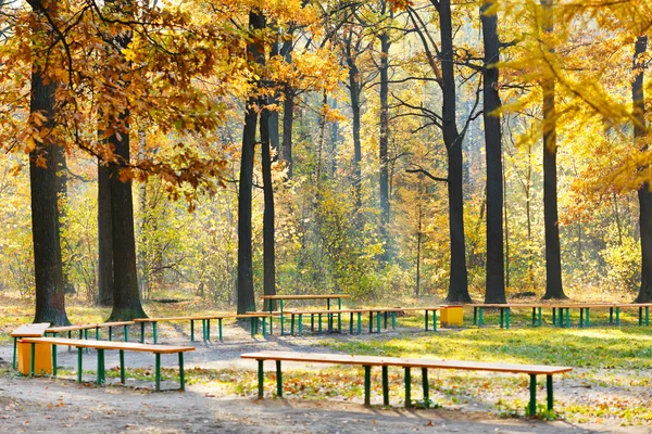 Bancs de jardin en forêt jaune en automne — Photo