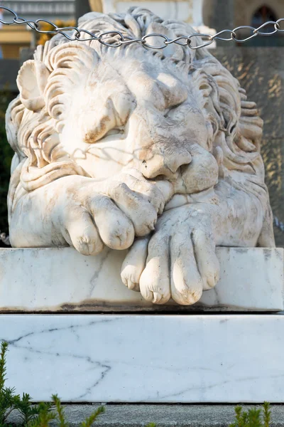 眠れるボロンツォフ宮殿付近メディチ獅子 — ストック写真