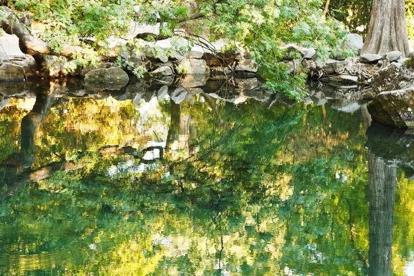 Bomen die gereflecteerd in het water van de vijver in Alupka tuin — Stockfoto