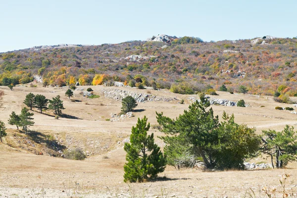 Landscape of mountain plateau Ai-Petri in Crimea — Stock Photo, Image