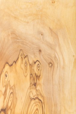 zeytin ağacı kurulu doğal doku