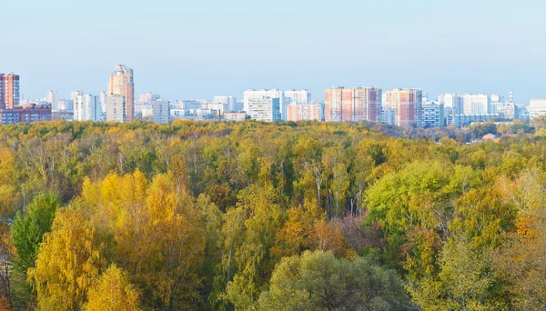 View of autumn forest and city — Stock Photo, Image