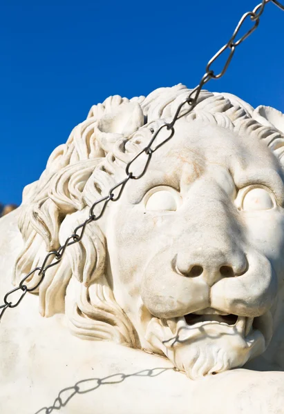 Medici lion close up near Vorontsov Palace — Stock Photo, Image