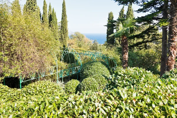 Livadiya tuin op de zuidelijke kust van de Krim — Stockfoto