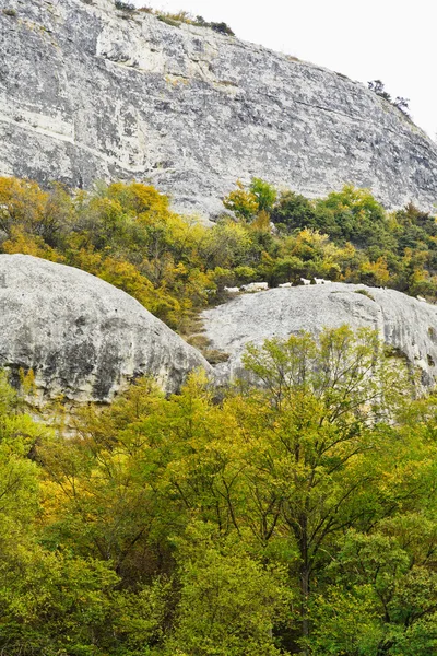 Ziegenherde auf einem Bergpfad — Stockfoto