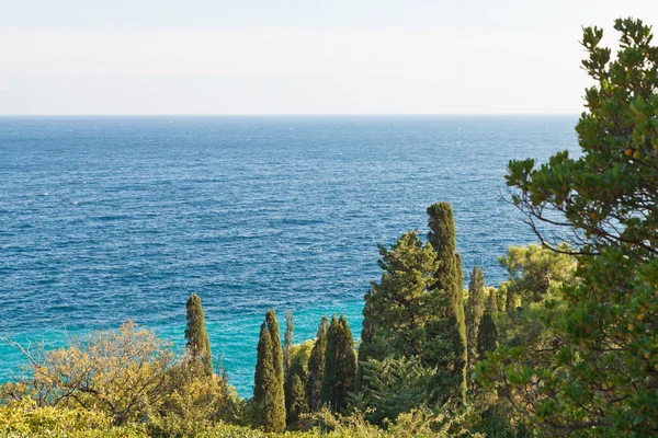 Vista del Mar Nero da Alupka, Crimea — Foto Stock