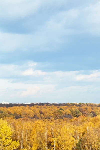 Nuvens azuis sobre floresta de outono e casas urbanas — Fotografia de Stock