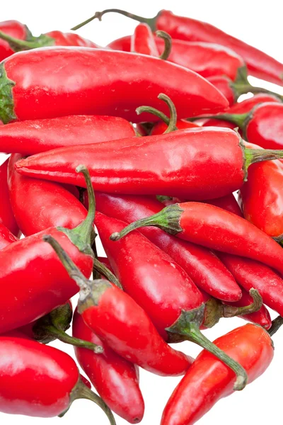 Pods of fresh red chili peppers close up — Stock Photo, Image