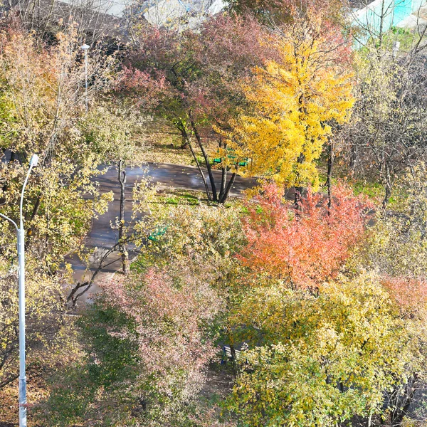 Árvores multicoloridas no jardim público no outono — Fotografia de Stock