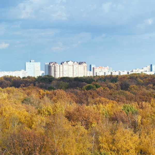 Foresta gialla, case urbane, nuvole blu — Foto Stock