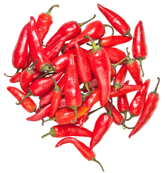 Top view of pods of red chili peppers isolated — Stock Photo, Image