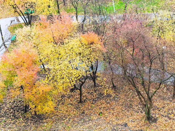 Giardino pubblico in giorno d'autunno — Foto Stock