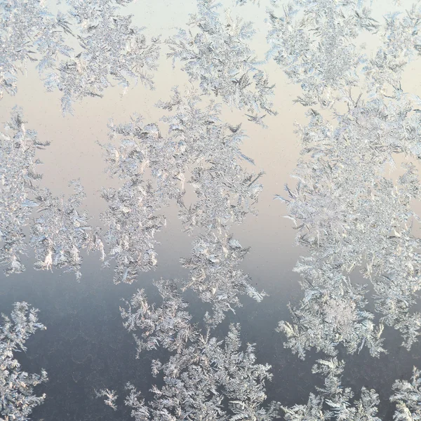 Frost patterns on window glass at winter sunrise — Stock Photo, Image