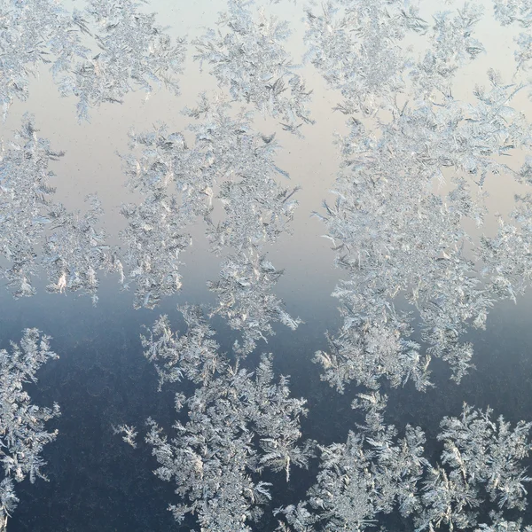 Frost patterns on windowpane at winter dawn — Stock Photo, Image