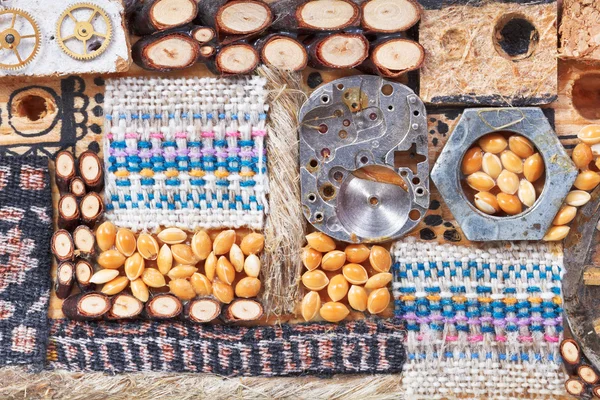 Stilleben från naturliga och mekaniska föremål — Stockfoto