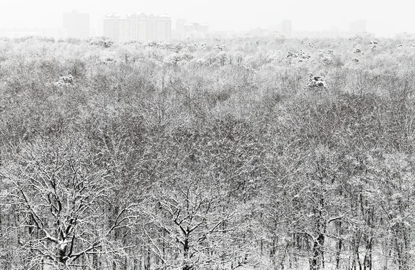 Acima vista de floresta nevada e edifícios urbanos — Fotografia de Stock