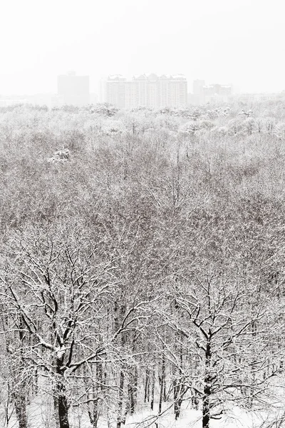 Snowbound bos en plaats (city) in de winter — Stockfoto