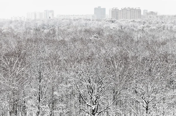 Stad in winter sneeuwval en sneeuw bos — Stockfoto