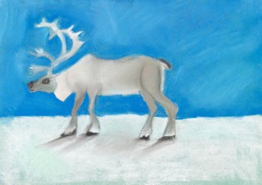 koyu mavi gökyüzü altında kar üzerinde Ren geyiği